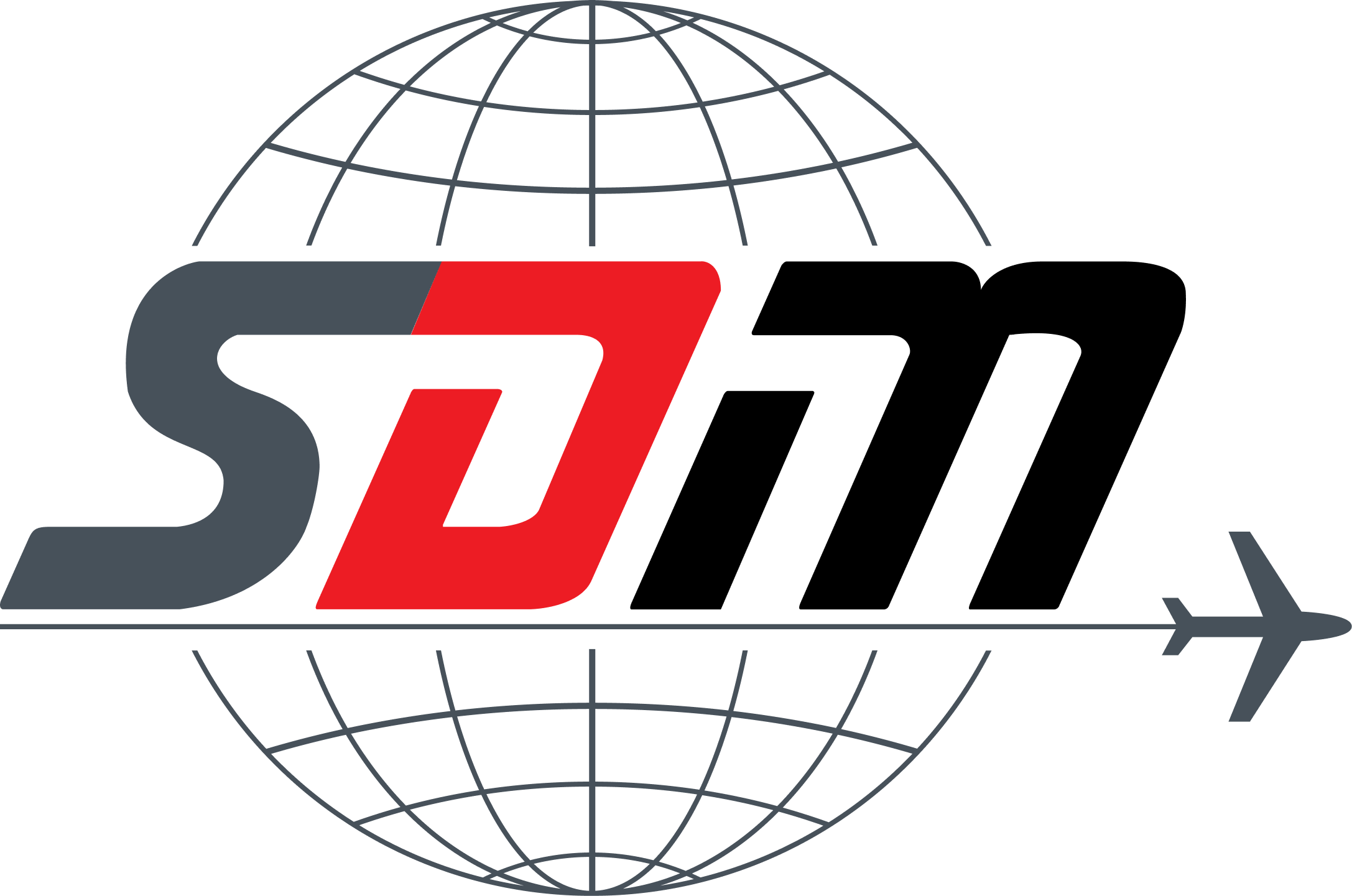 SDM Srl logo